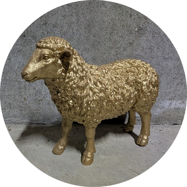 Schaap staand kleur 38 x 12 x 28 cm verp 6
