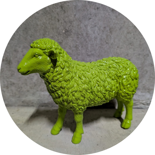 Schaap gekleurd 50 cm verp 4