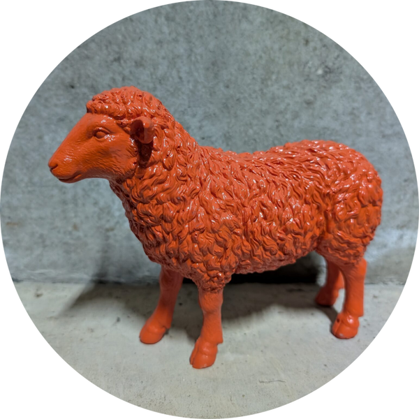Schaap staand kleur 38 x 12 x 28 cm verp 6