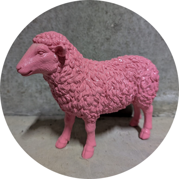 Schaap gekleurd 20 cm verp 12