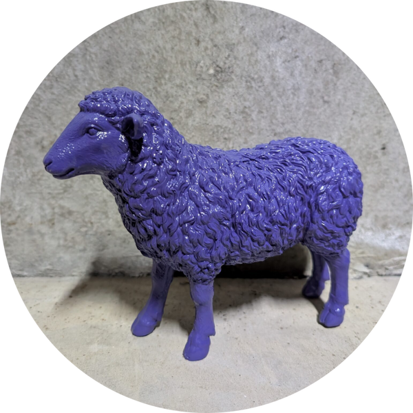 Schaap gekleurd 50 cm verp 4