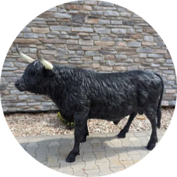Koe highlander  laminaat zwart 131 x  193 x 66cm