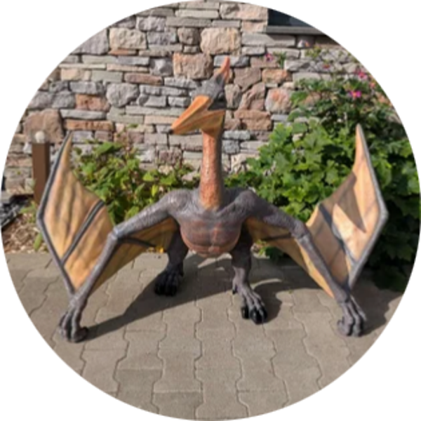 Pterodactyl Dinosaurus Ontwerp 80 x 160 cm