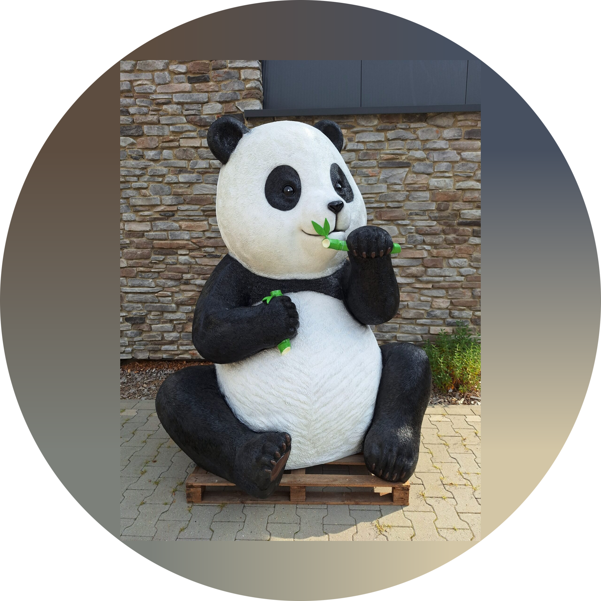 Panda zit  XXL laminaat 168 x 130 x 208 cm