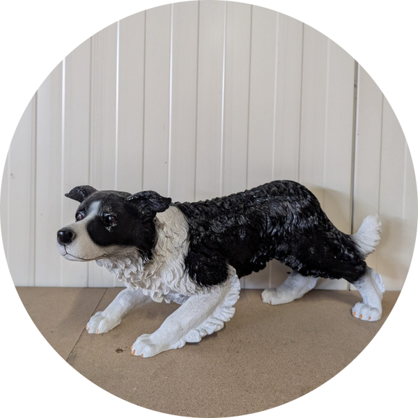 Border collie hond staand 58 x 22 x 25 cm verp 4