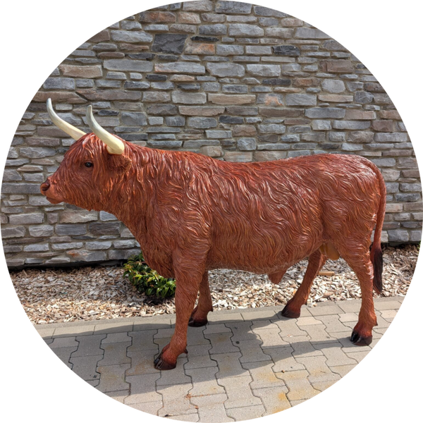 Highlander koe staand laminaat 177 x  62 x 127 cm