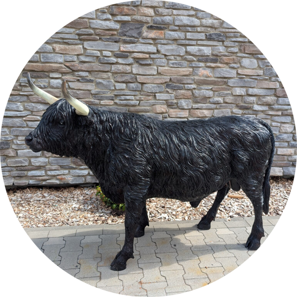 Highlander koe staand laminaat 177 x  62 x 127 cm