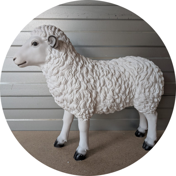 Schaap staand wit  fibre de verre laminaat 70 cm