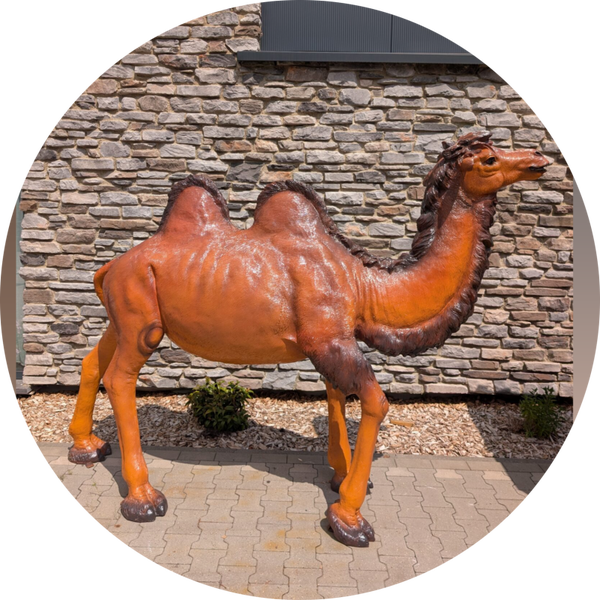 Kameel staand laminaat 245 x 75 x 195 cm