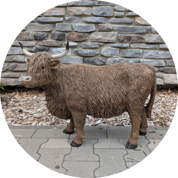 Higlander koe staand bruin 73 x 35 x 55 cm