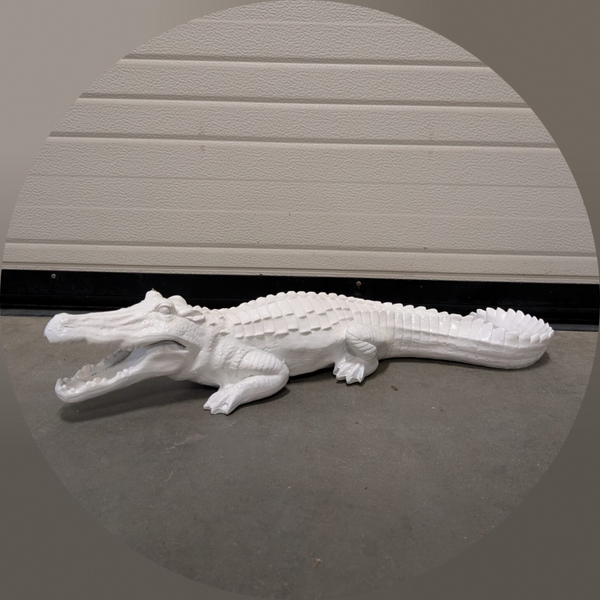 Krokodil goud open muil 60 cm