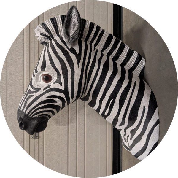 Zebra kop 70 cm