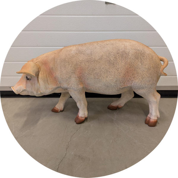 Varken Roos staand 85 cm