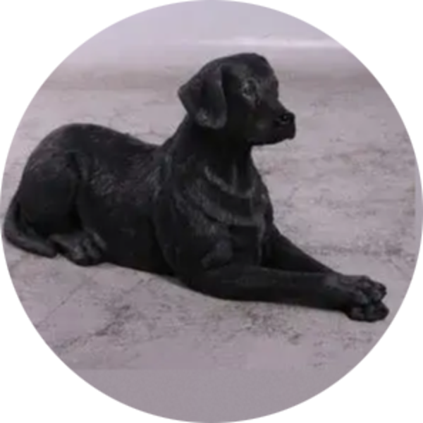 Labrador ligend 35 x 90 cm