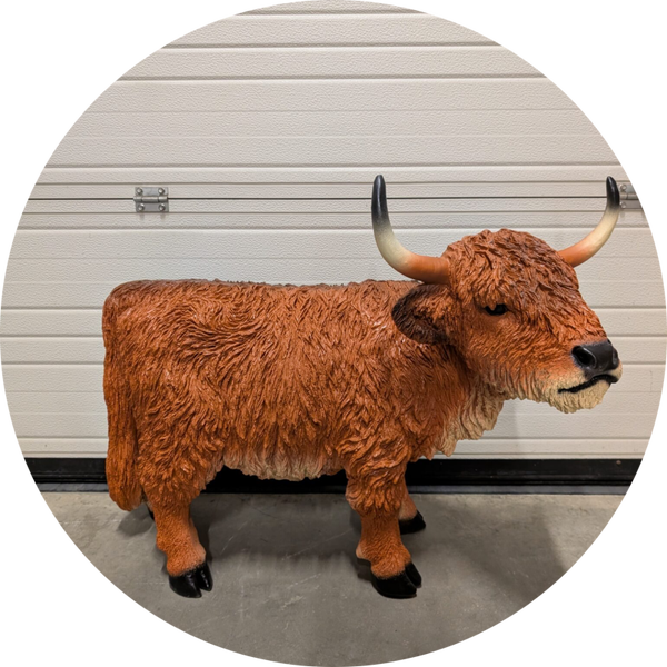 Schotse higlander koe bruin 90 cm