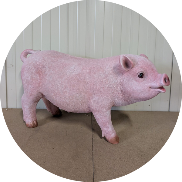Varken staand 70 x 25 x 40 cm