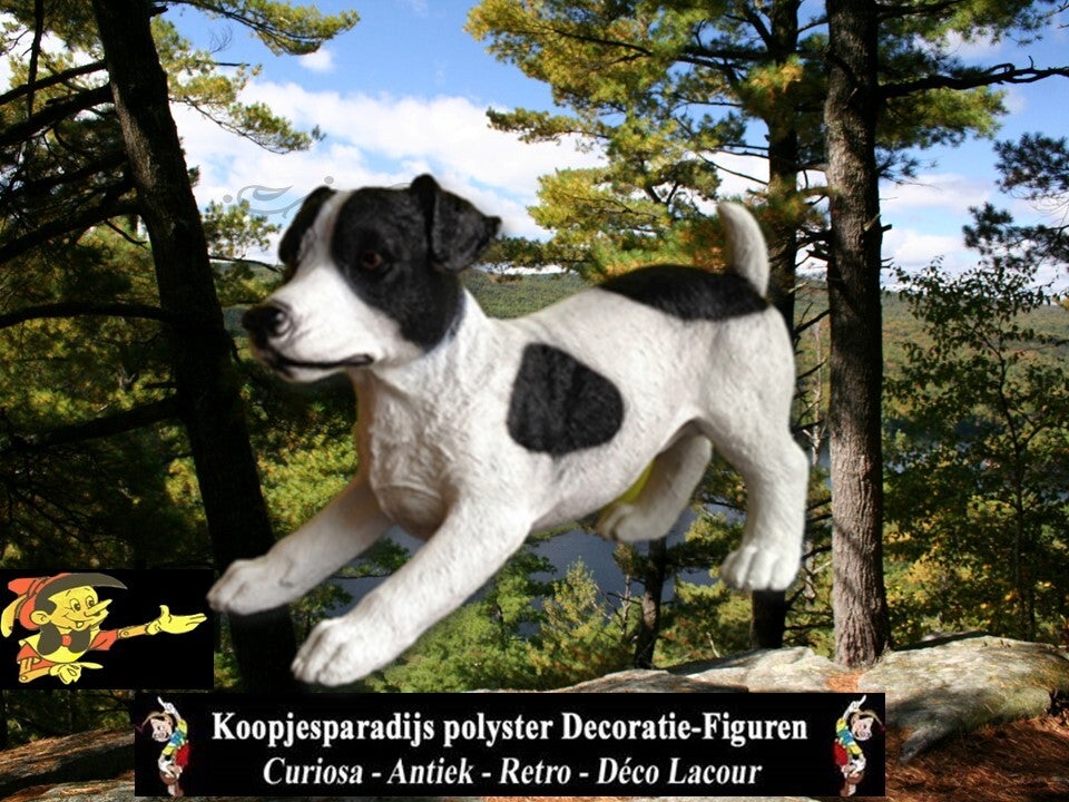 DHB16 Jack Russel zit polyester résine 50 cmm