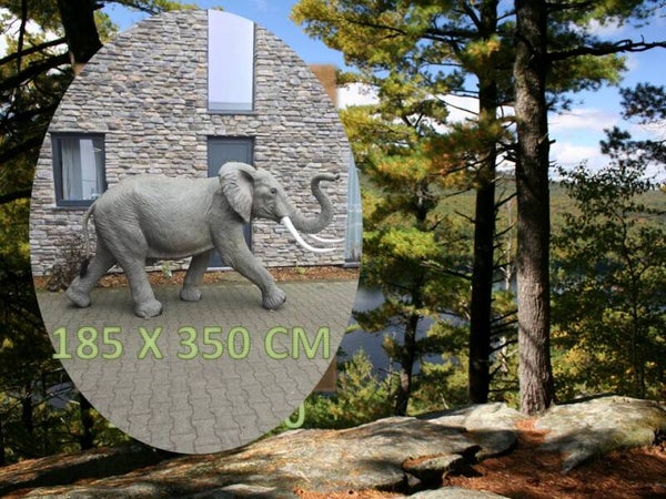 OLIFANT XXL LOPEND LEVENSGROOT LAMINAAT 185 X 350 CM