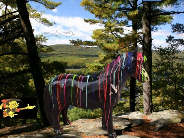 PONNY MULTICOLOR ZWART DRUIP 115 CM