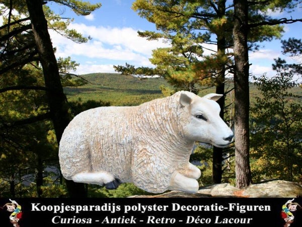TEXLG Tex schaap liggend polyester résine 60 x 105 cm