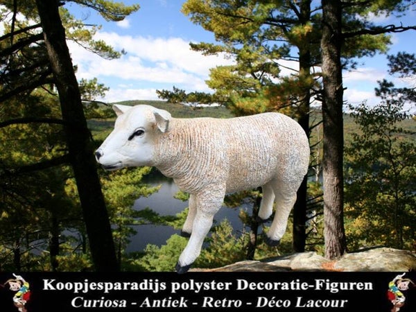 DHD Tex baby schaap staand polyester résine 50 cm