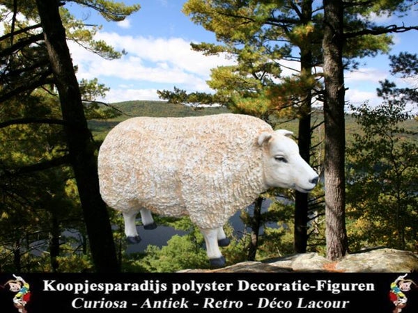 TEXSG Tex schaap staand polyester résine 80 x 110 cm