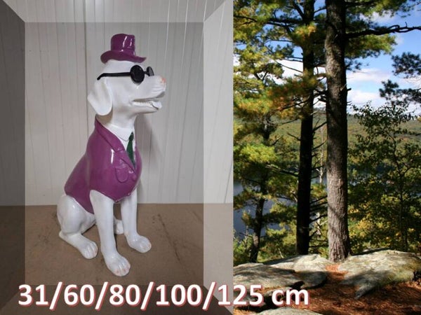 smoking hond purper laminaat 125 cm