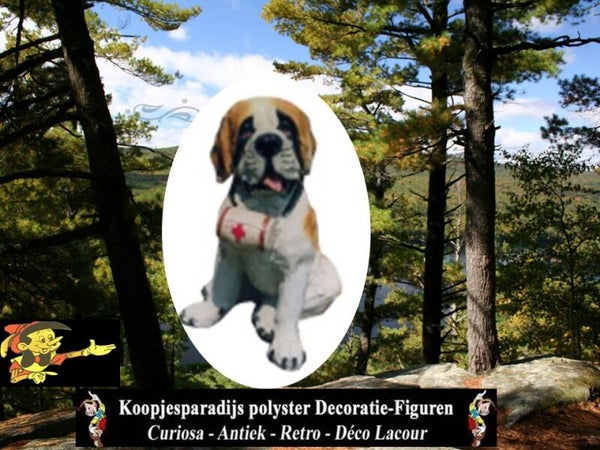 Hond Sint Bernard zit met ton polyester résine 40 cm