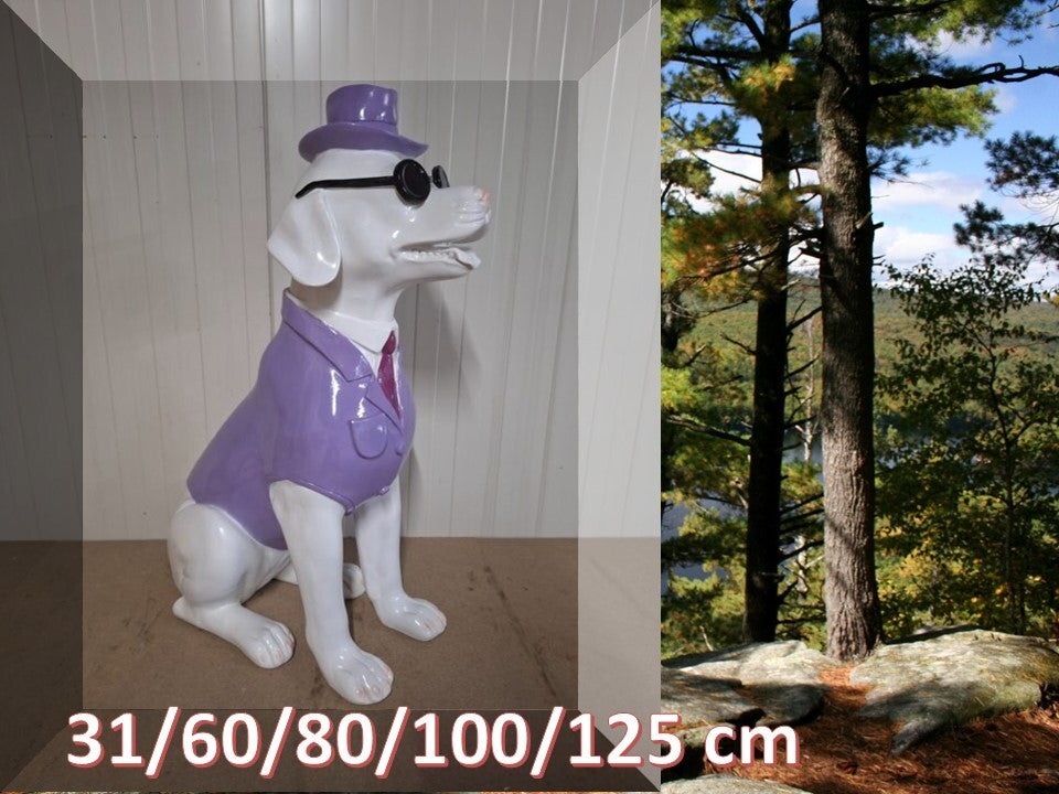 smoking hond paars laminaat 125 cm