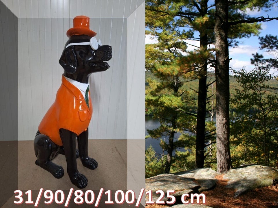 smoking hond orange laminaat 125 cm