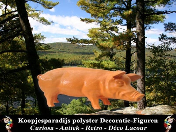 L5 DHD Varken polyester résine roos 60 x 90 cm