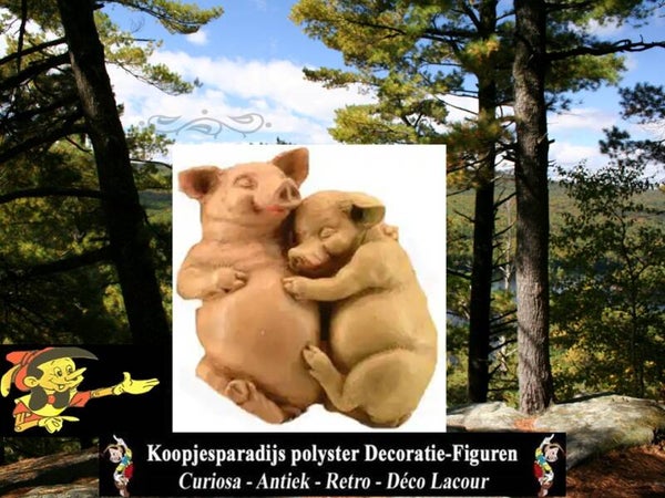 Varken verliefd koppel  liggend polyester Résine 50 CM