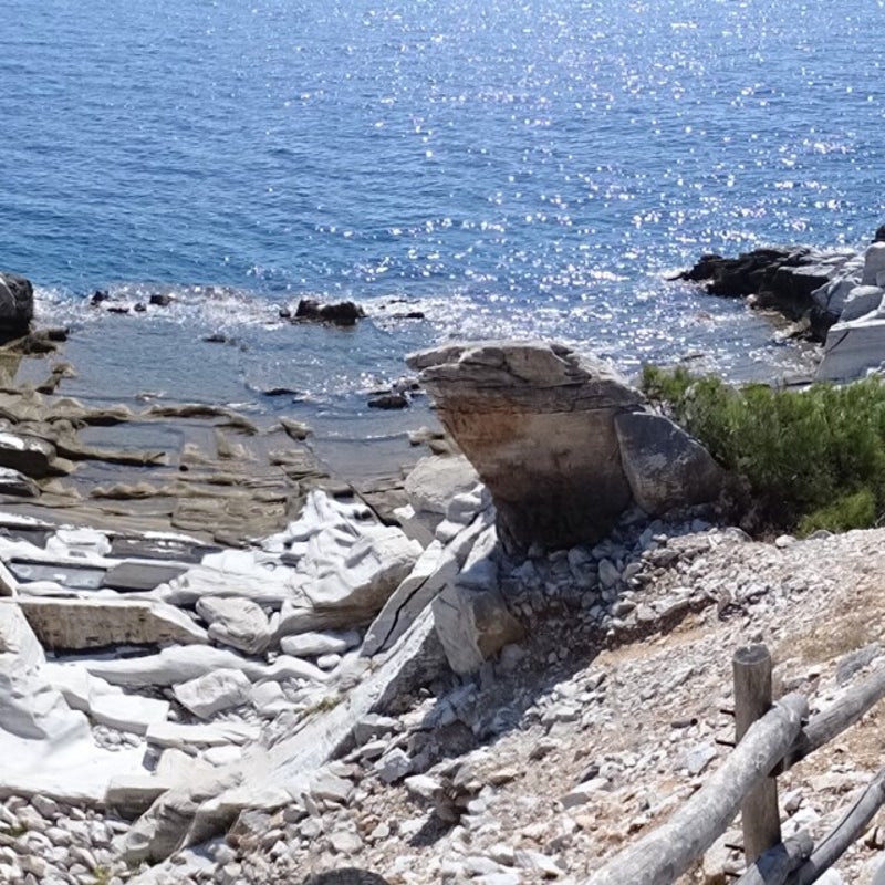 aliki-standard.jpg
