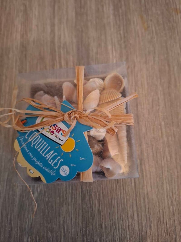 Coquillage deco