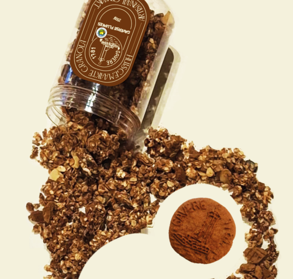 Gaverse Flupkes granola