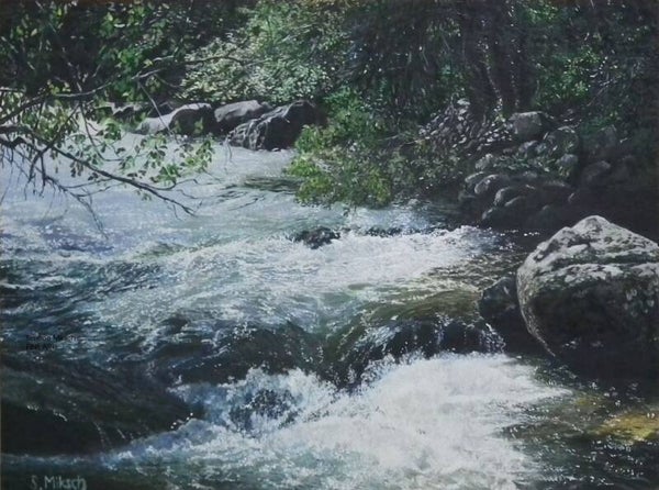Wilde Wasser