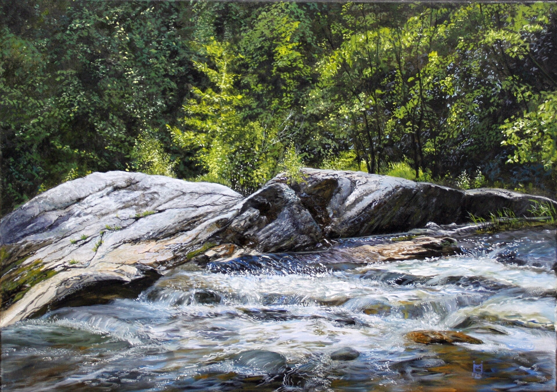 12-felsen-im-wasser-standard-krr6ep.jpg