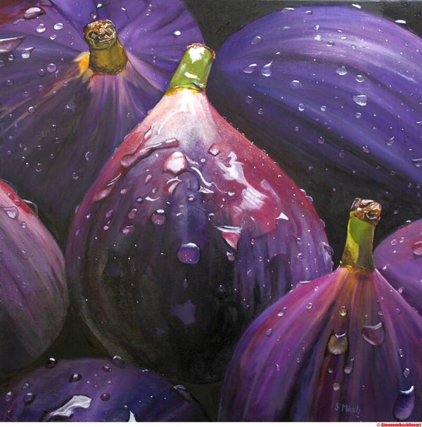 Feigen