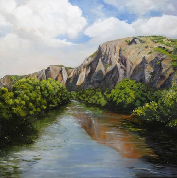 Rotenfels
