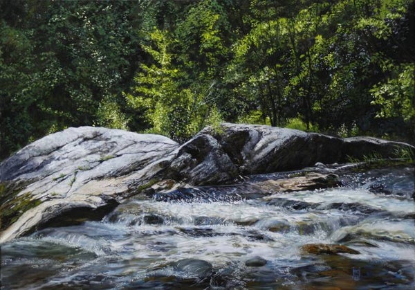 Felsen im Wasser