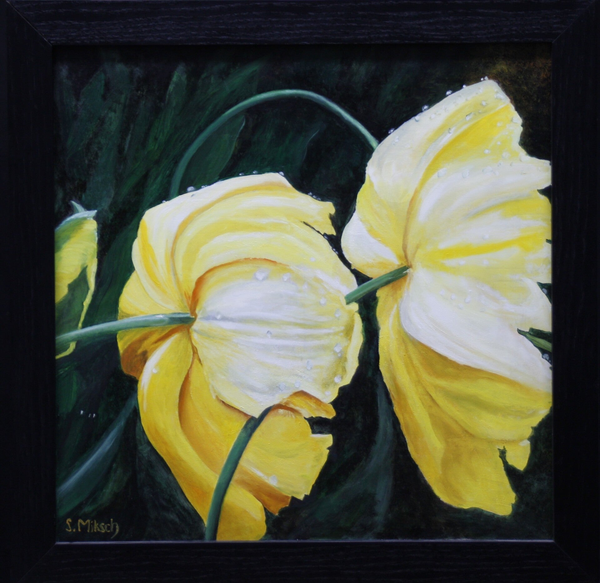 gelbe Tulpen