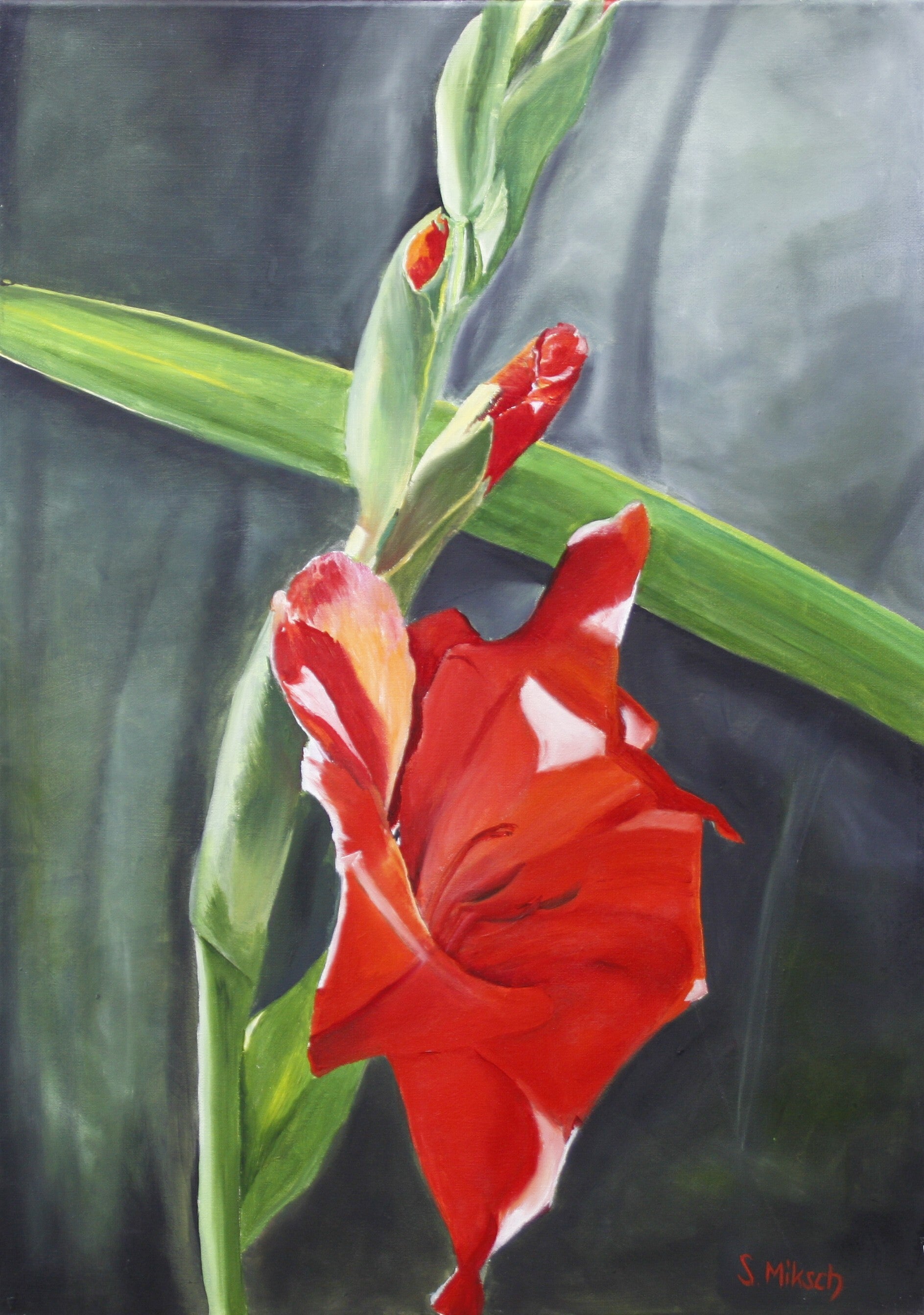 gladiole-standard.jpg