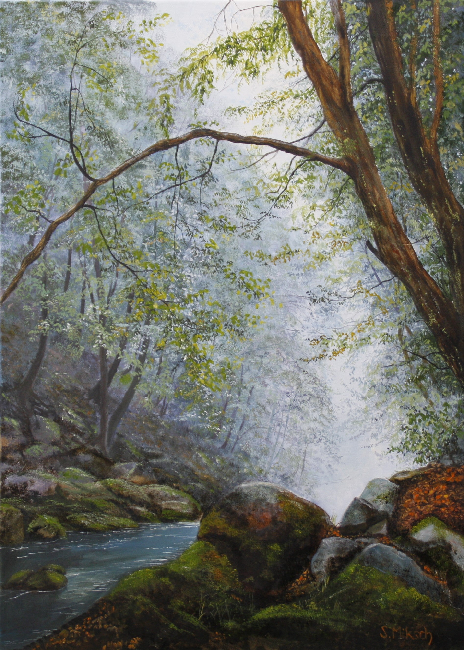 nebel-am-bach-standard.jpg