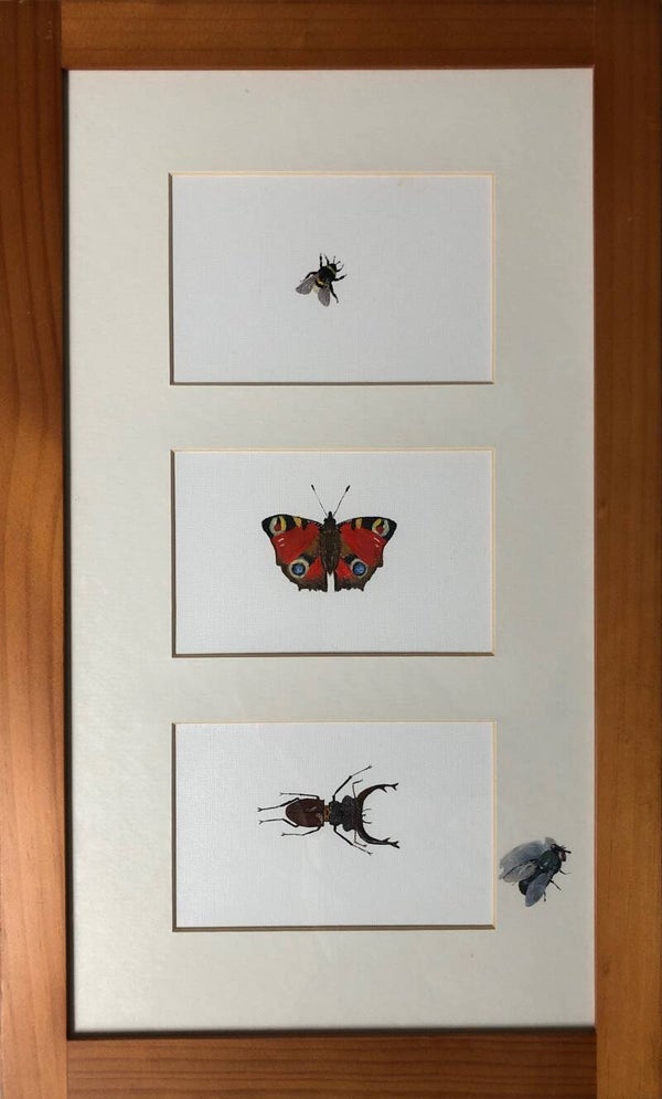 Insecten