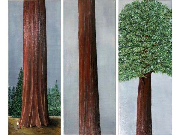 Redwood 3-delig