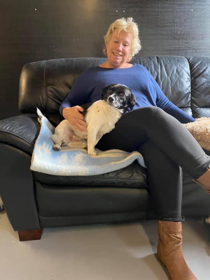 Puppy, hond, wandeling, uitlaten, Hondensnoepjes, hondenopvang, hondenoppas, uitlaatservice, hondenriem, Laarbeek, kennelels en oliie,hondenspeeltuin,hondendagopvang,uitlaatservice,hondenoppas,hondenbrokjes,hondenspeeltjes