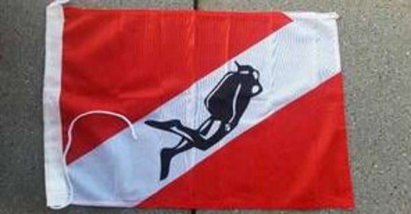 VLAG MET DUIKER 030X050