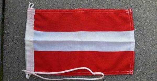 VLAG OOSTENRIJK 020X030