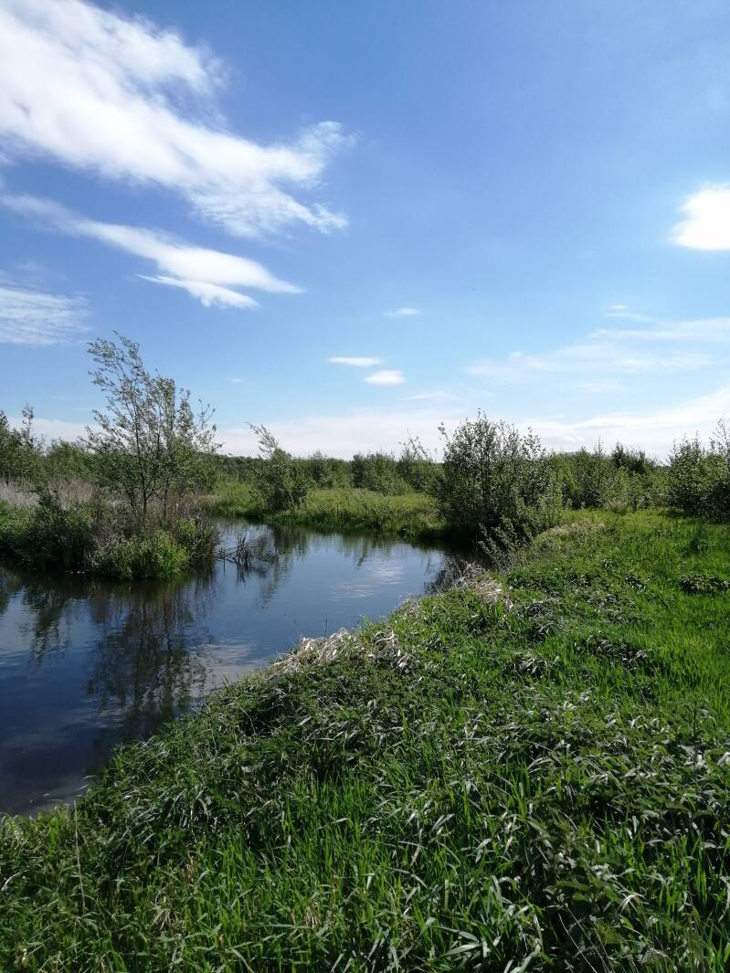 Foto Stoutenburg Landschap - Stoutenburg Landscape