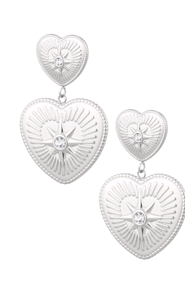 Zilveren hart oorbellen stainless steel